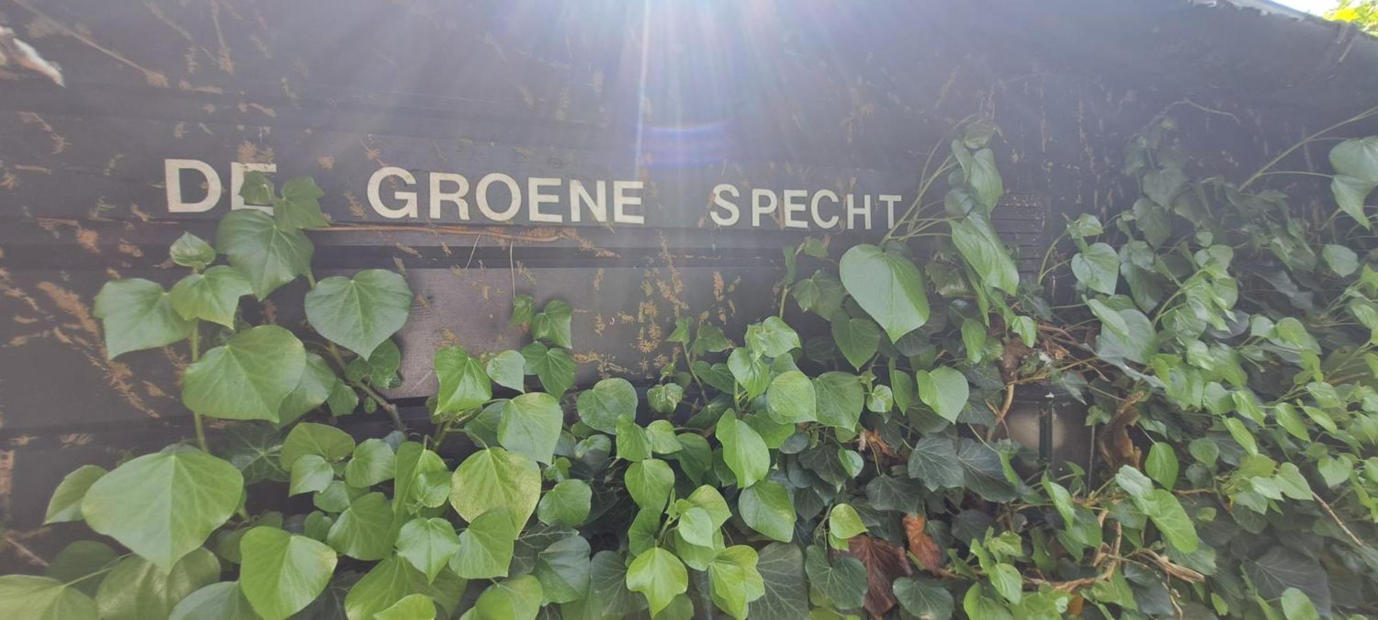 Met Veranda & Omheinde, Ruime Tuin In Zeeland Vp077 Vakantiehuis