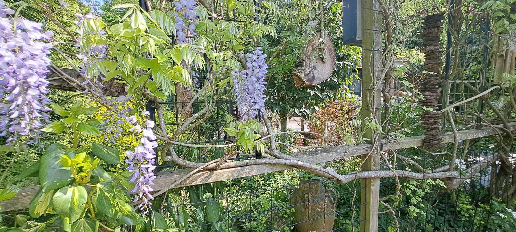 Met Veranda & Omheinde, Ruime Tuin In Zeeland Vp077 Vakantiehuis